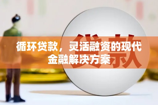 鄯善循环贷款，灵活融资的现代金融解决方案
