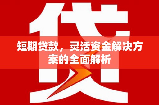 鄯善短期贷款，灵活资金解决方案的全面解析