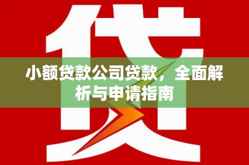 鄯善小额贷款公司贷款，全面解析与申请指南