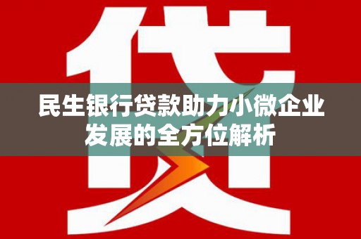 鄯善民生银行贷款助力小微企业发展的全方位解析