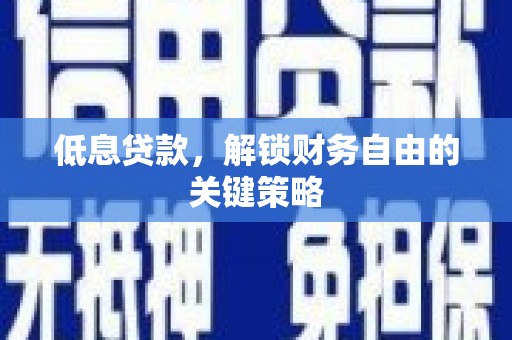 鄯善低息贷款，解锁财务自由的关键策略