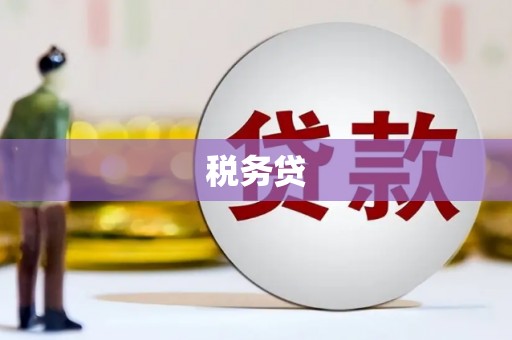 鄯善税务贷