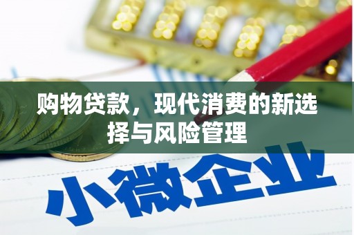 鄯善购物贷款，现代消费的新选择与风险管理