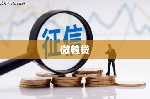 鄯善微粒贷