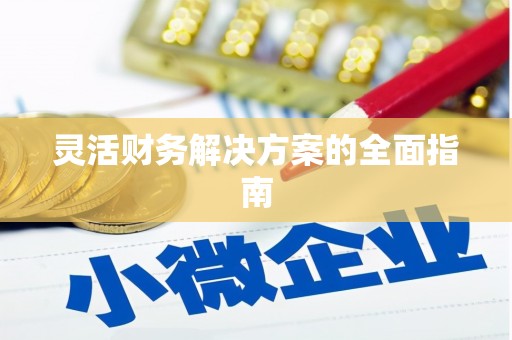 鄯善灵活财务解决方案的全面指南