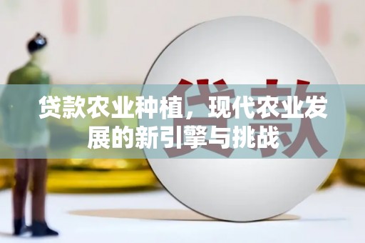 鄯善贷款农业种植，现代农业发展的新引擎与挑战