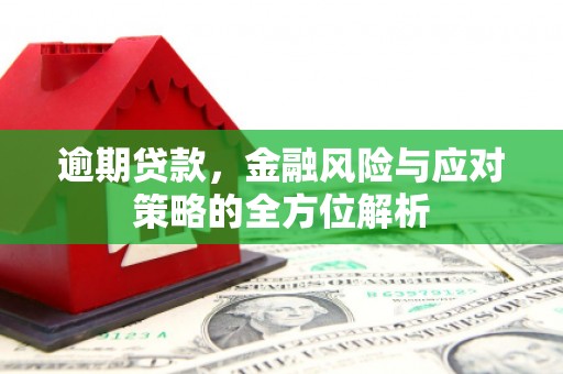 鄯善逾期贷款，金融风险与应对策略的全方位解析