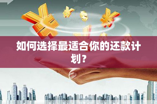 鄯善如何选择最适合你的还款计划？
