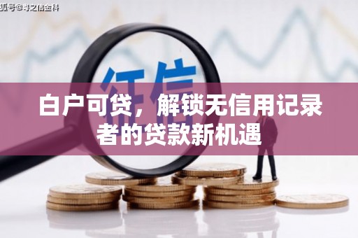 鄯善白户可贷，解锁无信用记录者的贷款新机遇