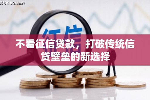 鄯善不看征信贷款，打破传统信贷壁垒的新选择