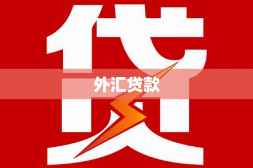 鄯善外汇贷款