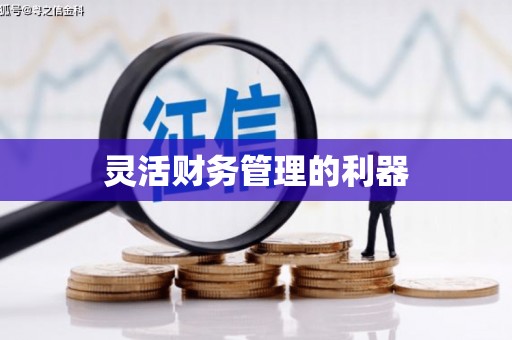 鄯善灵活财务管理的利器
