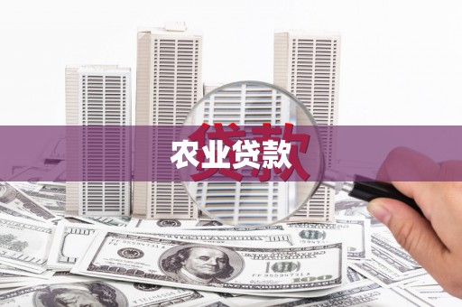 鄯善农业贷款