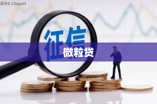 鄯善微粒贷