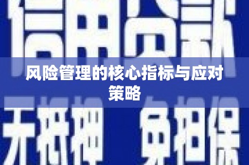 鄯善风险管理的核心指标与应对策略