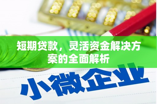 鄯善短期贷款，灵活资金解决方案的全面解析