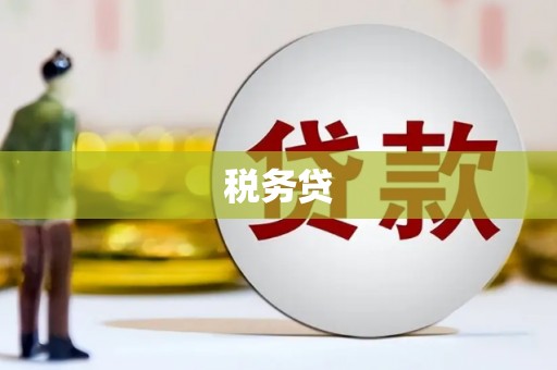鄯善税务贷