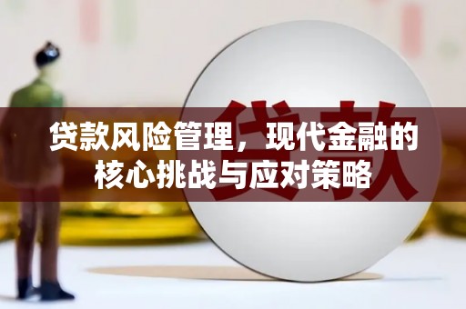 鄯善贷款风险管理，现代金融的核心挑战与应对策略