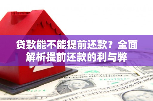 鄯善贷款能不能提前还款？全面解析提前还款的利与弊