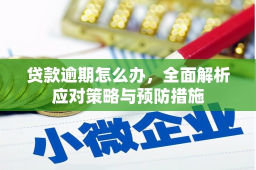 鄯善贷款逾期怎么办，全面解析应对策略与预防措施