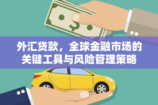 鄯善外汇贷款，全球金融市场的关键工具与风险管理策略