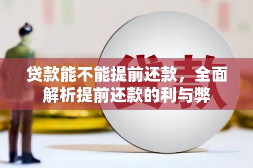 鄯善贷款能不能提前还款，全面解析提前还款的利与弊