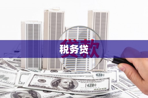 鄯善税务贷