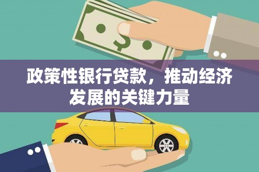 鄯善政策性银行贷款，推动经济发展的关键力量