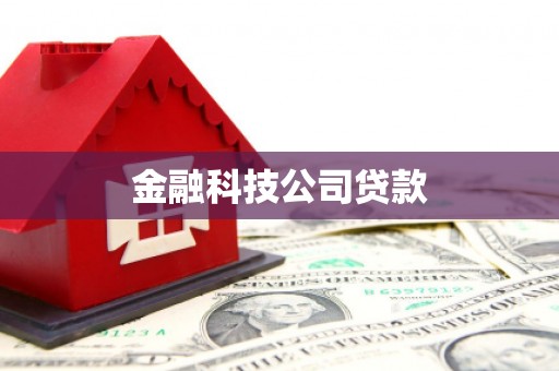 鄯善金融科技公司贷款