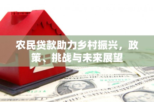 鄯善农民贷款助力乡村振兴，政策、挑战与未来展望