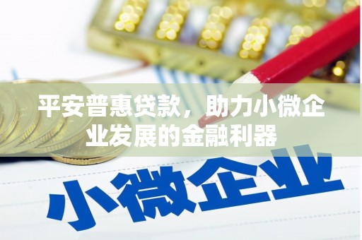 鄯善平安普惠贷款，助力小微企业发展的金融利器