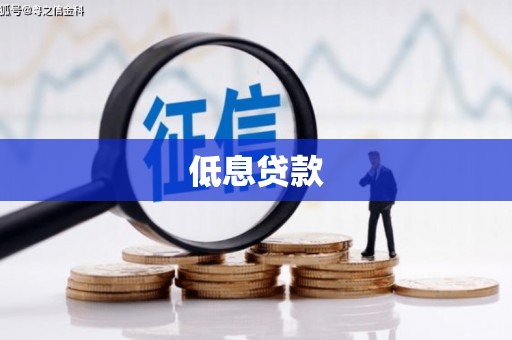 鄯善低息贷款