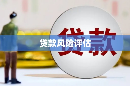 鄯善贷款风险评估