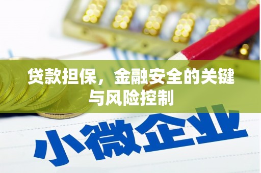 鄯善贷款担保，金融安全的关键与风险控制