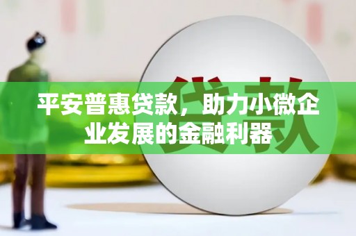 鄯善平安普惠贷款，助力小微企业发展的金融利器