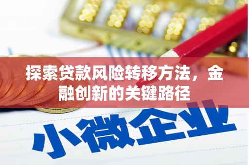 鄯善探索贷款风险转移方法，金融创新的关键路径