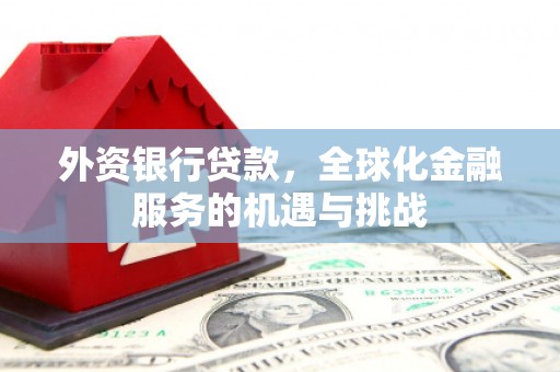 鄯善外资银行贷款，全球化金融服务的机遇与挑战