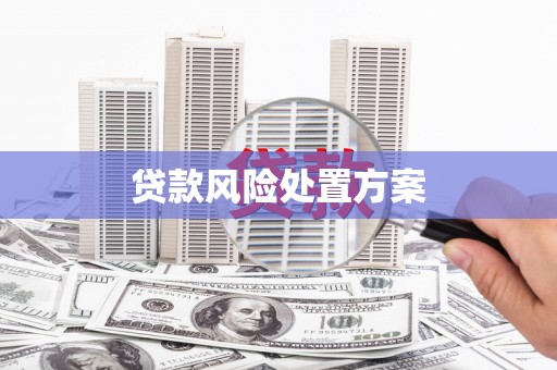 鄯善贷款风险处置方案