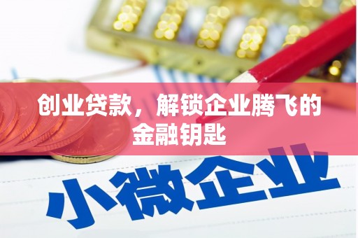 鄯善创业贷款，解锁企业腾飞的金融钥匙