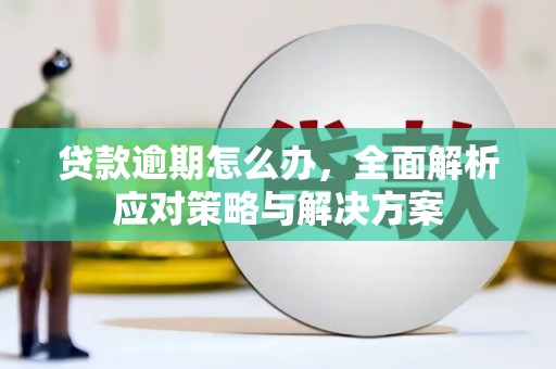 鄯善贷款逾期怎么办，全面解析应对策略与解决方案
