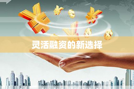 鄯善灵活融资的新选择