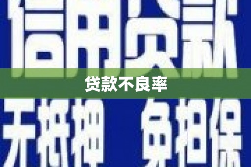 鄯善贷款不良率