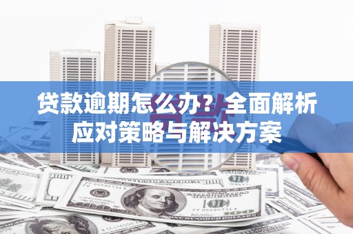 鄯善贷款逾期怎么办？全面解析应对策略与解决方案