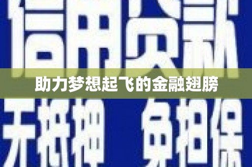 鄯善助力梦想起飞的金融翅膀