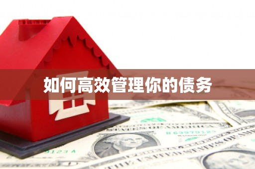 鄯善如何高效管理你的债务