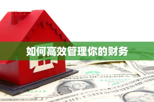鄯善如何高效管理你的财务