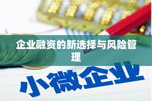鄯善企业融资的新选择与风险管理
