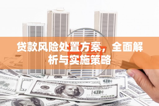 鄯善贷款风险处置方案，全面解析与实施策略