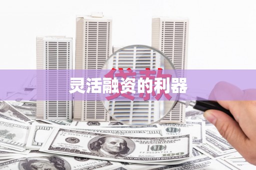 鄯善灵活融资的利器