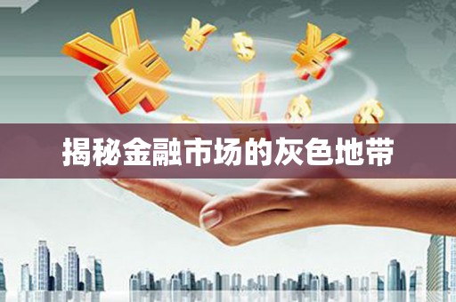 鄯善揭秘金融市场的灰色地带